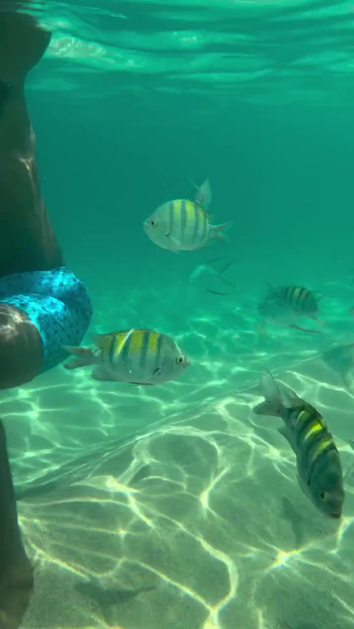??不釣魚(yú)了？喬治更新社媒曬自己浮潛與魚(yú)共舞??????